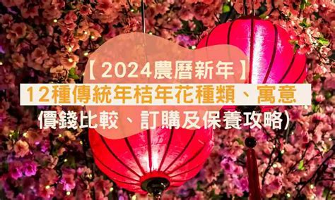 富貴子|【2024農曆新年】12種傳統年桔年花種類、寓意（連價錢比較、。